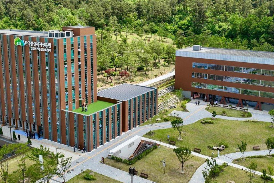 국내 최고층 7층 목조건축 완공… 승용차 100대 1년 배출량 저장